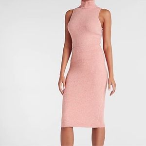 Express sleeveless sweater tank
